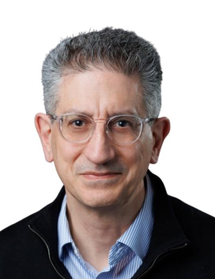 Photo of Gabriel Gazzé